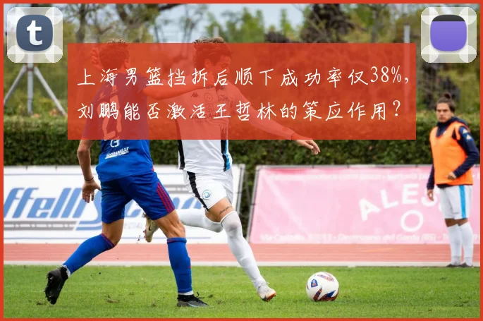 上海男篮挡拆后顺下成功率仅38%，刘鹏能否激活王哲林的策应作用？